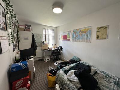 Picture 8